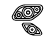 Rasvjeta