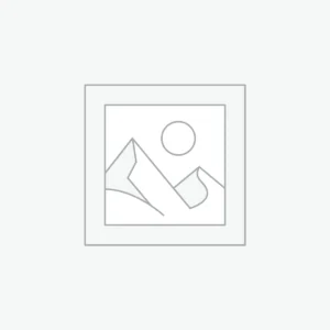 Custom Wheels Gold RTS